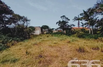Terreno à venda na Rua Ilhota, Praia do Ervino, São Francisco do Sul