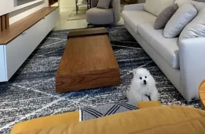 Apartamento com 3 quartos à venda na Avenida Engenheiro Ludolfo Bohel, Teresópolis, Porto Alegre