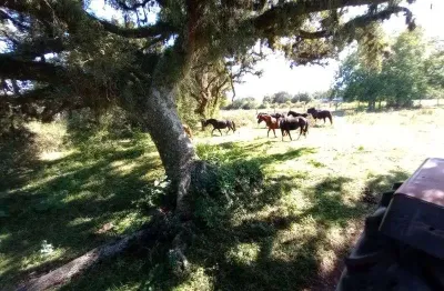 Terreno à venda na Estrada do Varejão, Lami, Porto Alegre