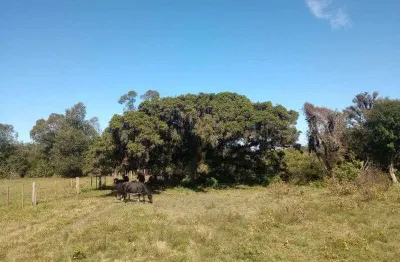 Chácara / sítio à venda na Estrada do Varejão, Lami, Porto Alegre