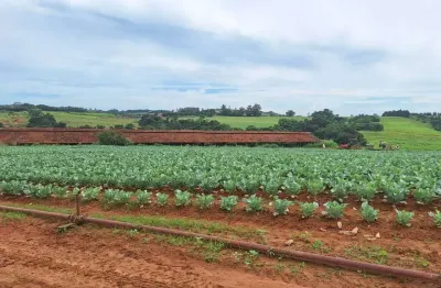 Chácara / sítio com 3 quartos à venda no Bom Retiro, Porto Feliz 