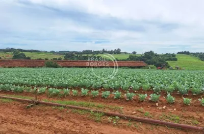 Chácara / sítio com 3 quartos à venda no Bom Retiro, Porto Feliz 