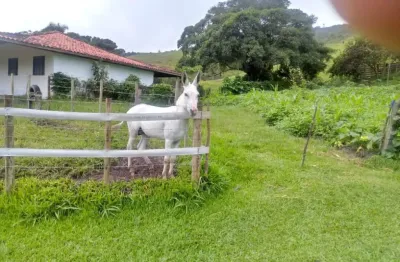 Fazenda c/ porteira fechada.50 alqueires.100% de permutas.c/180 cabeças de gado.