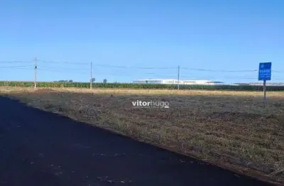 Terreno à venda no Loteamento Centro Empresarial Leste III, Uberlândia 