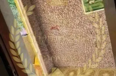 Casa com 2 quartos à venda na Rua do Imperador, 544, Vila Paiva, São Paulo