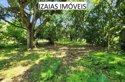 Cod 231: sitio amplo com árvores frutiferas - saquarema.
