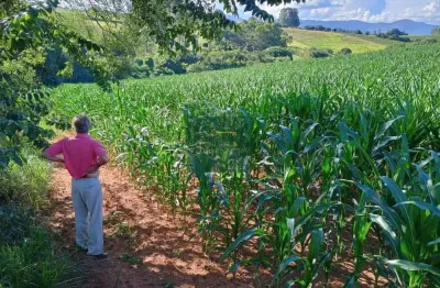 Terreno à venda no Afonsos, Pouso Alegre 