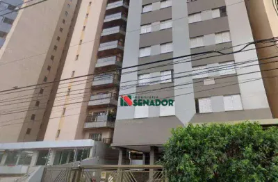 Apartamento com 3 dormitórios à venda, 64 m² por r$ 300.000,00 - centro - londrina/pr