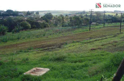 Chácara à venda, 20000 m² por r$ 1.200.000,00 - cilo 3 - londrina/pr