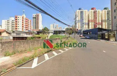 Terreno para alugar, 750 m² por r$ 3.500/mês - centro - londrina/pr