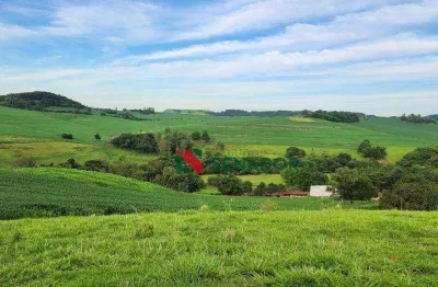 Fazenda à venda, 4143039 m² por r$ 43.000.000,00 - jataizinho  - jataizinho/pr