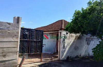 Terreno à venda, 205 m² por r$ 495.000,00 - portuguesa - londrina/pr