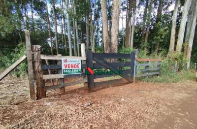Chácara com 1 dormitório à venda, 34451 m² por r$ 1.500.000,00 - zona rural - ibiporã/pr