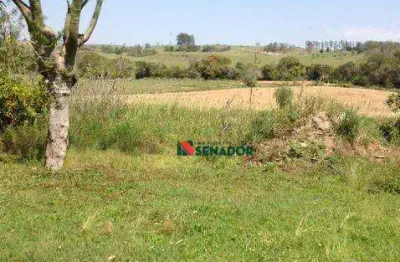 Sítio com 2 dormitórios à venda, 62500 m² por r$ 2.200.000 - paiquerê - londrina/pr
