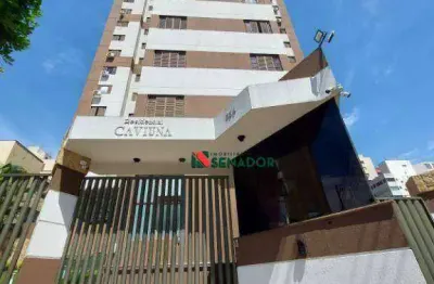 Lindo apartamento com 3 dormitórios para alugar, 76 m² - centro - londrina/pr