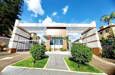 Apartamento para alugar em londrina, lima azevedo, com 2 quartos, com 60 m²