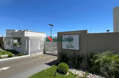 Apartamento para alugar em londrina, ouro verde, com 2 quartos, com 45 m², vila dos ipês