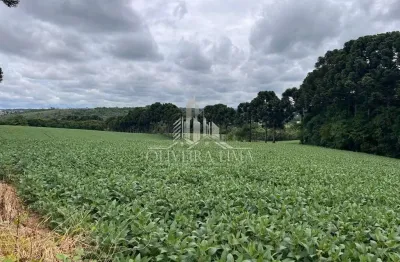 Terreno para venda  no bairro araçatuba em campina grande do sul