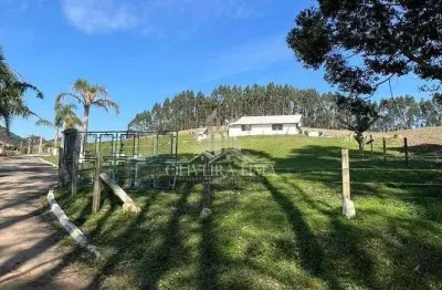 Sítio para venda  no bairro colônia murici em são josé dos pinhais