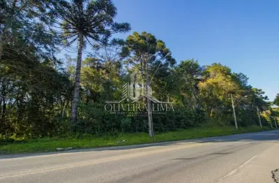 Terreno à venda na Rodovia do Caqui, Centro, Campina Grande do Sul