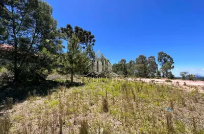 Terreno à venda na Avenida Dom Pedro Ii, Centro, Quatro Barras