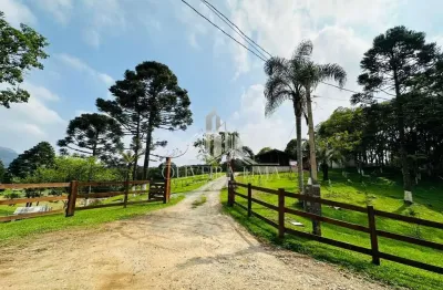 Chácara para venda  no bairro palmitalzinho em quatro barras