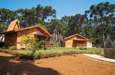 Chácara / sítio com 2 quartos à venda no Centro, Campina Grande do Sul 