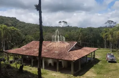 Chácara para venda  no bairro ribeirão do tigre em quatro barras
