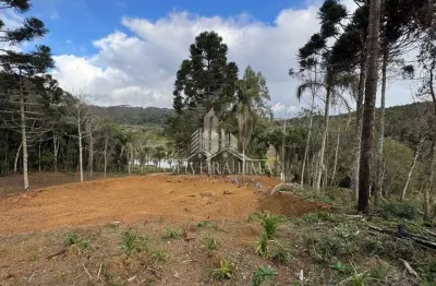 Chácara / sítio com 1 quarto à venda na Estrada Do Cerne, Cerne Papanduva, Campina Grande do Sul