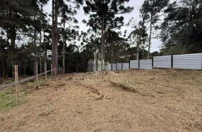 Terreno para venda  no bairro jardim paulista em campina grande do sul