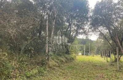 Terreno para venda  no bairro ribeirão grande em agudos do sul