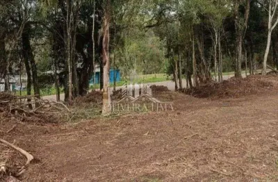 Terreno para venda  no bairro palmitalzinho em quatro barras