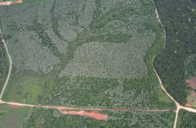 Terreno à venda na Rua Vicente Betinardi, 1923, Roseira, Colombo