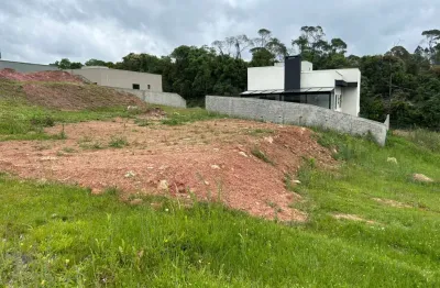 Terreno à venda na Rua do Quivi, 341, Arruda, Colombo