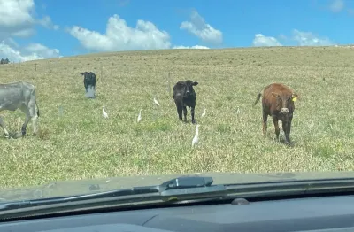 Fazenda à venda na Rua Principal, Zona Rural, Tibagi