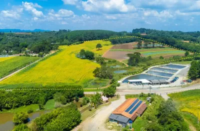 Chácara / sítio à venda na Rua Júlio César Setenareski, 3649, Colônia Murici, São José dos Pinhais