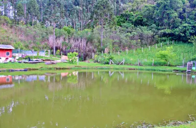Chácara / sítio com 2 quartos à venda na Rua Antônio Selusniak, 634, Zona Rural, Mandirituba