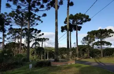 Terreno em condomínio fechado à venda na Rua Osmário de Oliveira Bastos, 1353, Vila Fuck, Piraquara