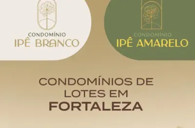 Distrito sustentável lago montenegro - ipês amarelo e branco.