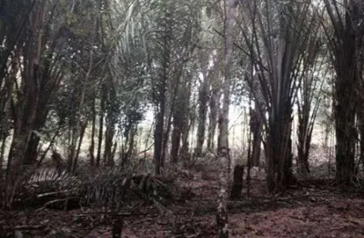 Terreno à venda na zona rural, iranduba  por r$ 250.000