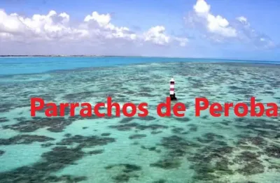 80.000 m2 de terreno à beira-mar, ideal para resort, condomínio ou loteamento