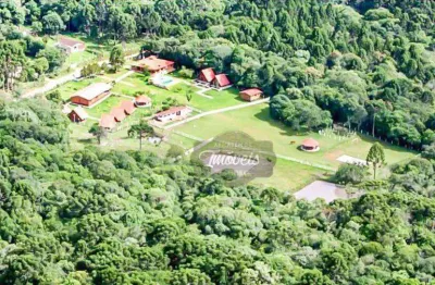Pousada à venda, 801 m² por r$ 1.798.000,00 - bugre - balsa nova/pr