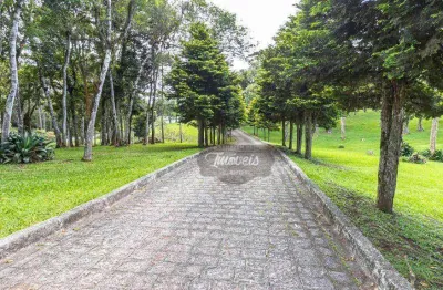 Chácara com 4 dormitórios à venda, 13316 m² por r$ 1.640.000,00 - borda do campo - piraquara/pr