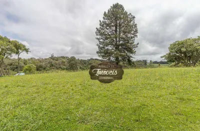 Chácara à venda, 35490 m² por r$ 1.379.000,00 - planta laranjeiras - piraquara/pr