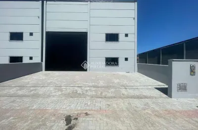 Barracão / galpão / depósito para alugar na amoritas, 2, pachecos, palhoça, 300 m2 por r$ 8.500