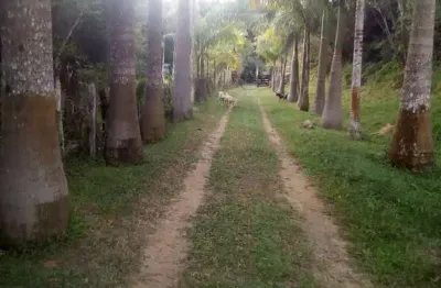 Chácara / sítio com 4 quartos à venda na Registro, Zona Rural, Registro