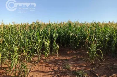 Fazenda à venda na Tacuru, Mato Gross, Zona Rural, Tacuru