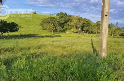 Fazenda à venda na Registro, Centro, Registro