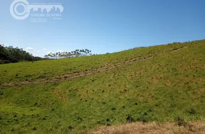 Fazenda à venda na Registro, Centro, Registro