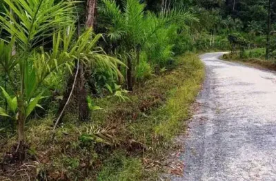 Chácara / sítio à venda na Sete Barras, Centro, Sete Barras